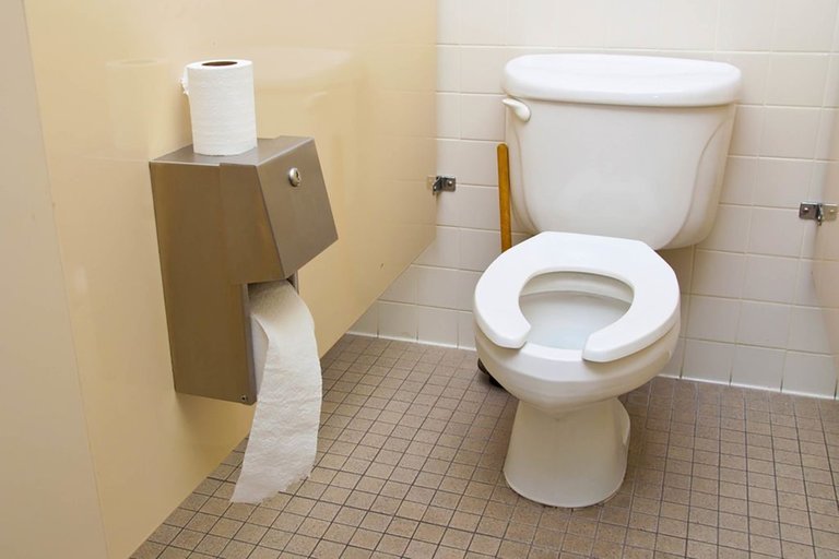 toilet1.jpg