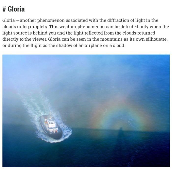 Gloria.jpg
