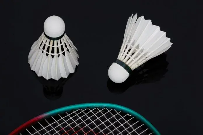 badminton-bulutangkis-doktersehat-696x464.webp