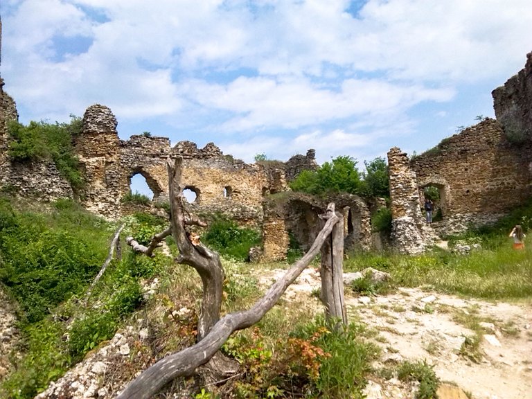 Ruins of the castle Čičva
