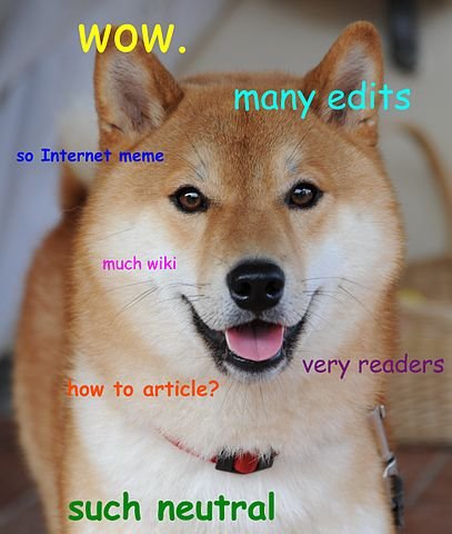 Doge_homemade_meme.jpg