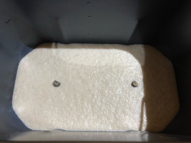 Foamy layer of yeast