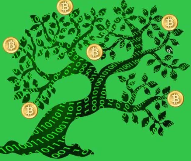 Bitcoin-Tree.jpg