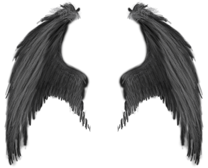 Wings Transparent Black purepng.com-black-wingswingsfeatherfinlimbbreederblack-wings-17015278323231oy8p.png