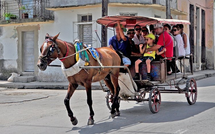 vehiculo traccion animal.jpg