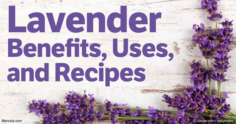 lavender-benefits-uses-recipes-fb.jpg