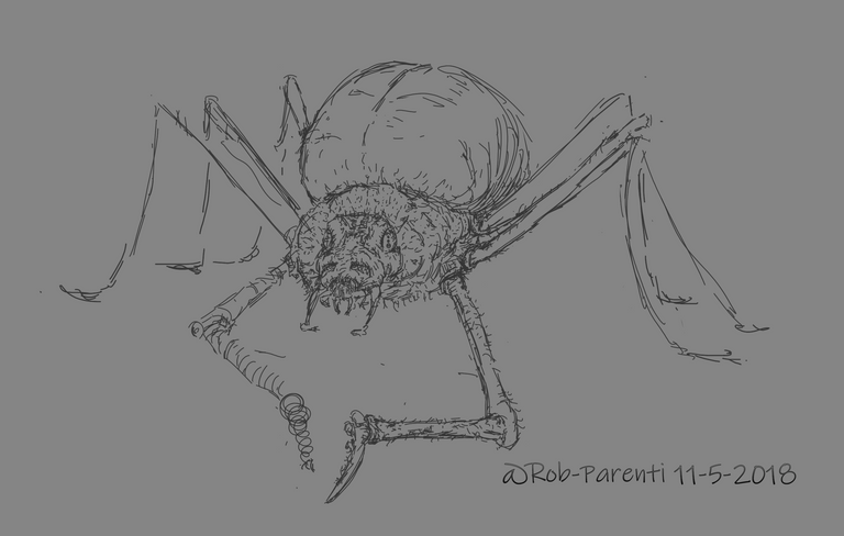 spider Art by Rob Parenti -  11-5-2018