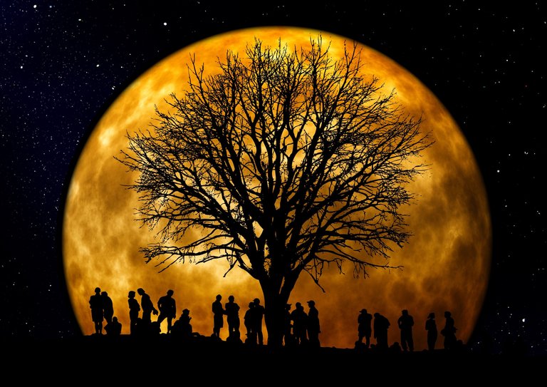 community-dark-full-moon-22138.jpg