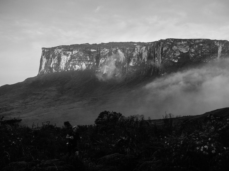 roraima-2163584_1920.jpg