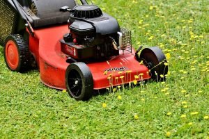 lawn-mower-2408925_960_720-300x200.jpg