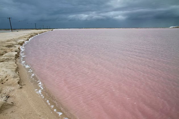 13 Las Coloradas Salt Flats  Las Coloradas Salt Flat 20140107 for91days.com.JPG