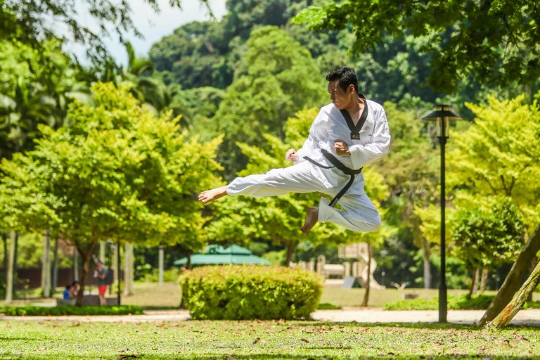 Martial Arts Flying Kick.jpg