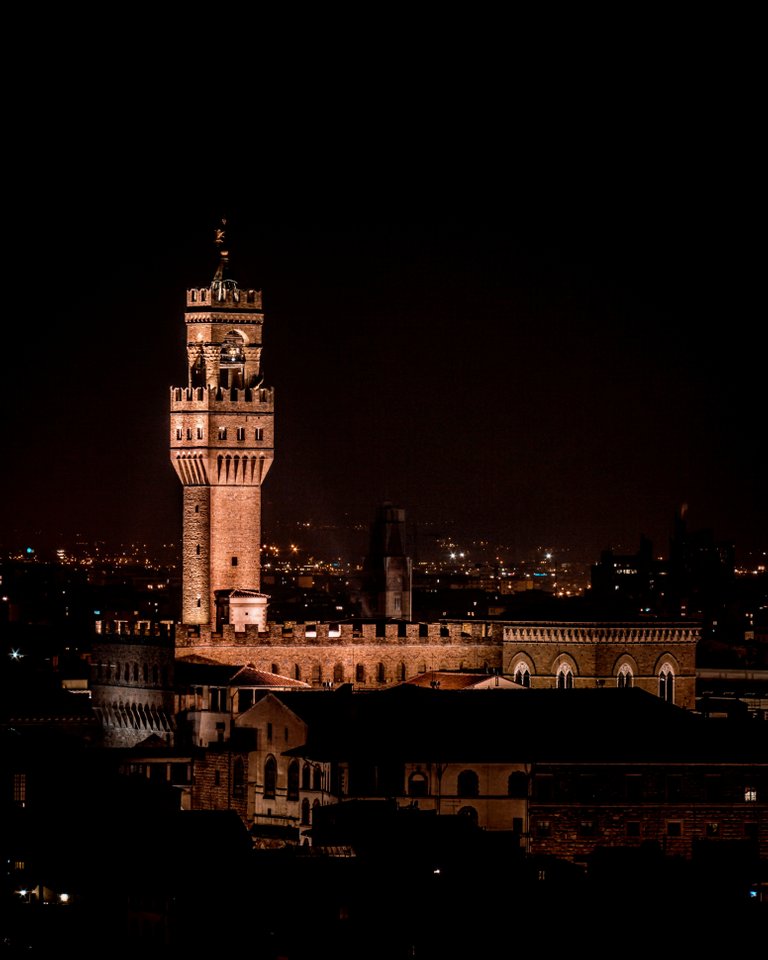 Piazza della Signoria Firenze notte.jpg