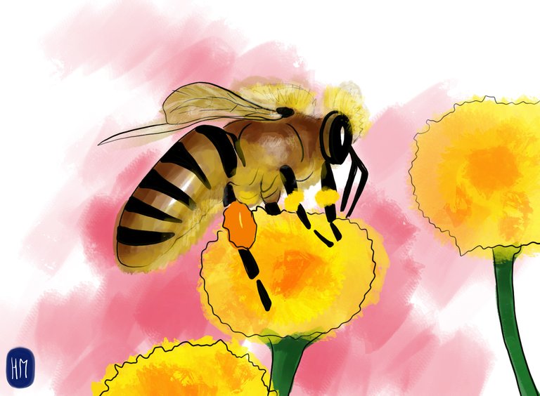 Bee (356).jpg