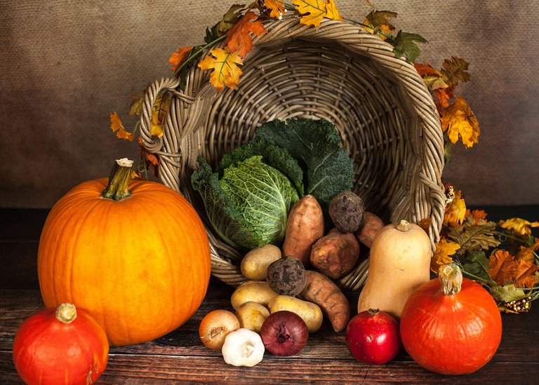 agriculture-basket-close-up-219794.jpg