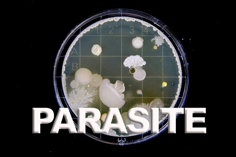 parasite.jpg