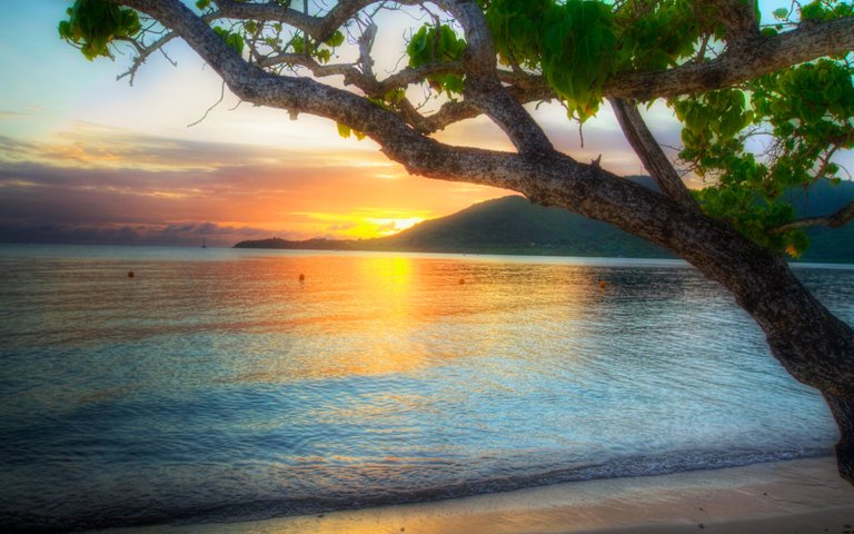 dream-summer-2012-lovely-view_2560x1600_96313.jpg