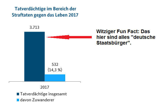 Tatverdächtige im Bereich Straftaten gegen das Leben 2017