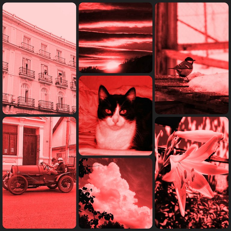 inCollage_20180615_200529784.jpg