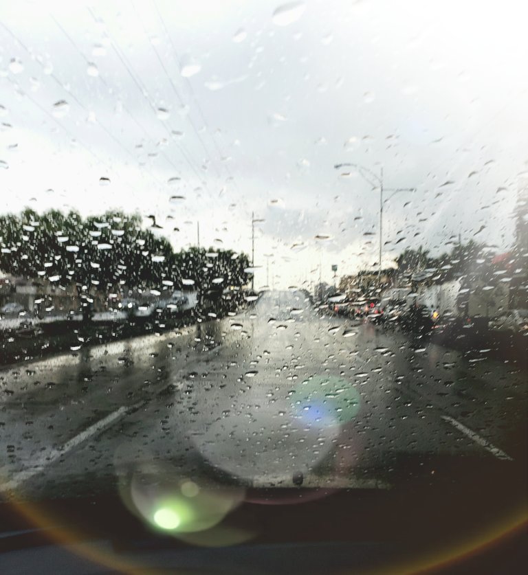 20190213_110056 rain 1.jpg