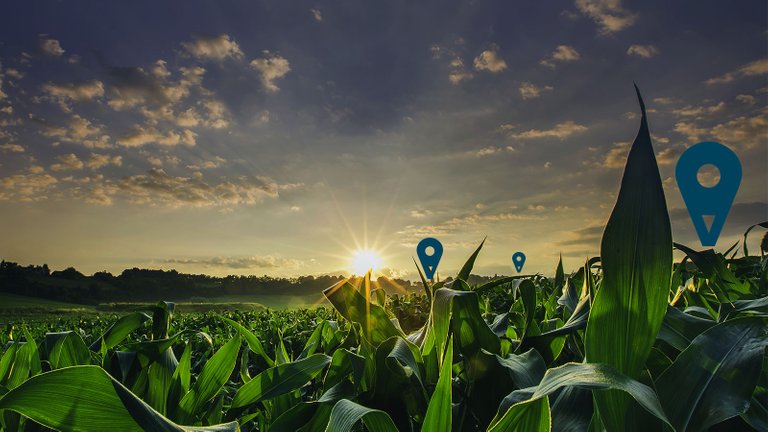 Accenture-Digital-Agriculture-Solutions-Marquee.jpg