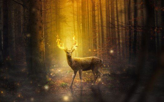 deer_fantasy_4k-t2.jpg