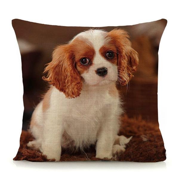 cavalier-king-charles-spaniel-cushion-covers-selection-b-8.jpg