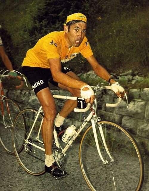 0-eddy merckx.jpg