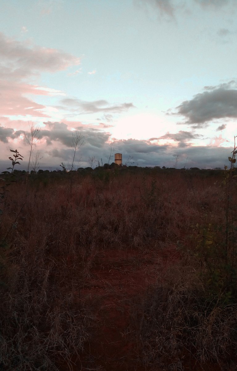 DSC_0515.jpg