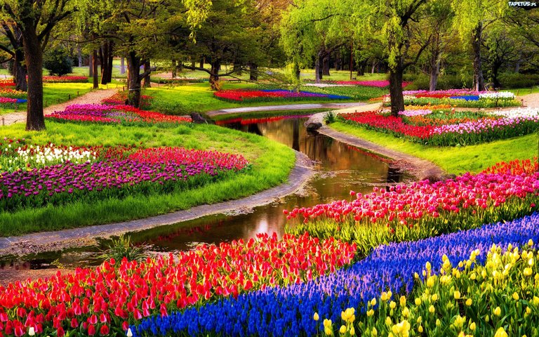 Keukenhof.original.6040.jpg