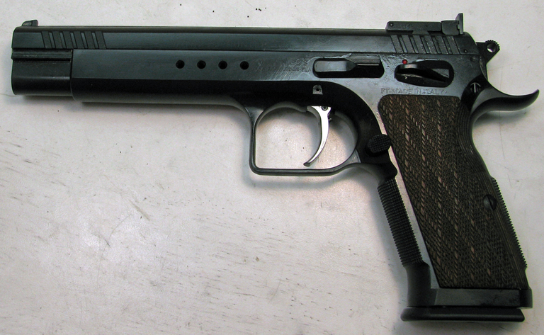 10mm TANFOGLIO WITNESS HUNTER.png