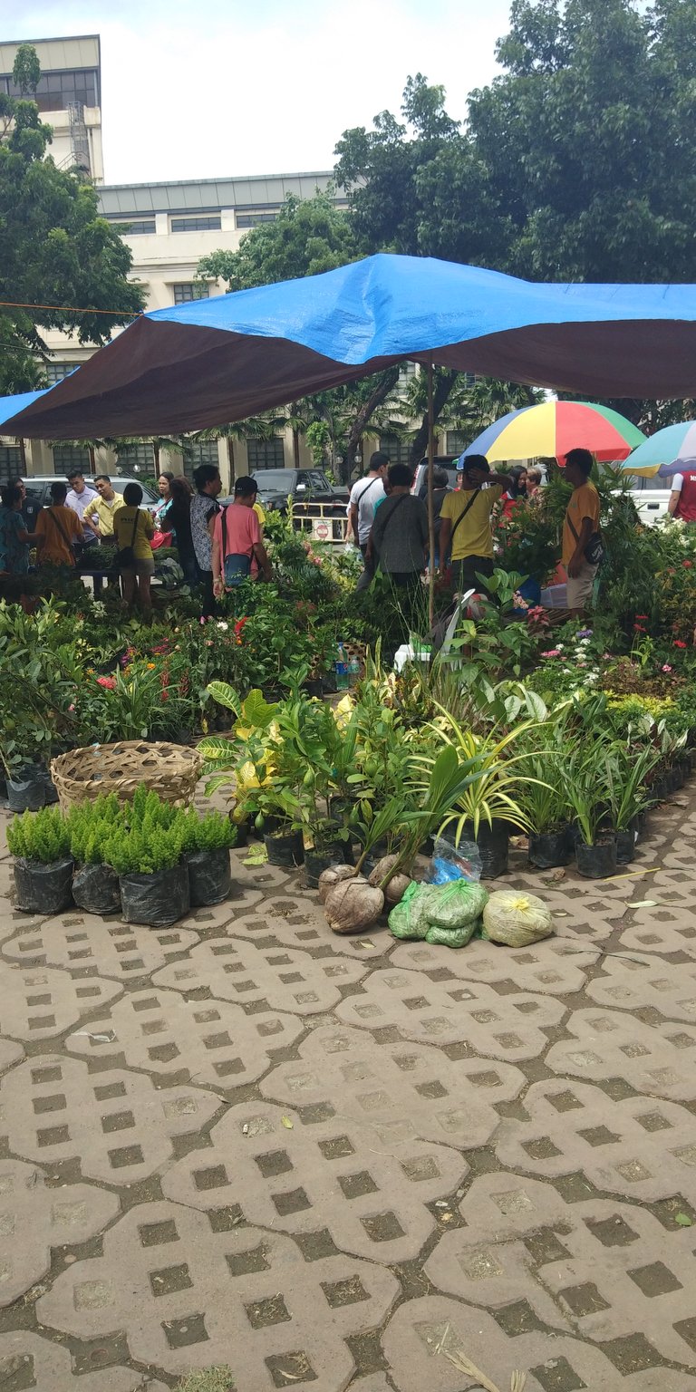 IMG_20180706_095444.jpg