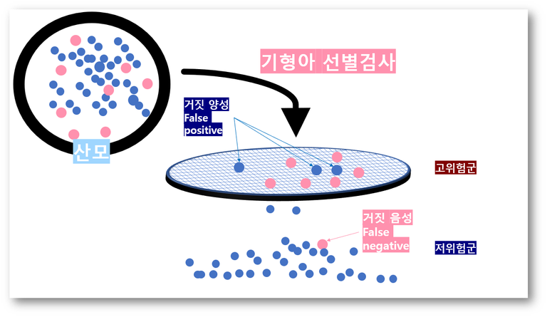 기형아 선별검사2