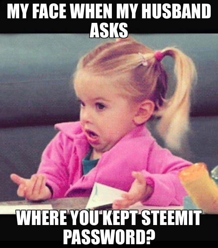 Where is Steemit Password.JPG