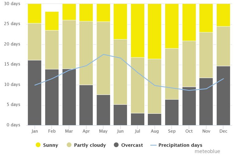 chart (4).jpeg