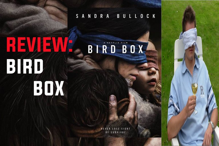 portada bird box.jpg