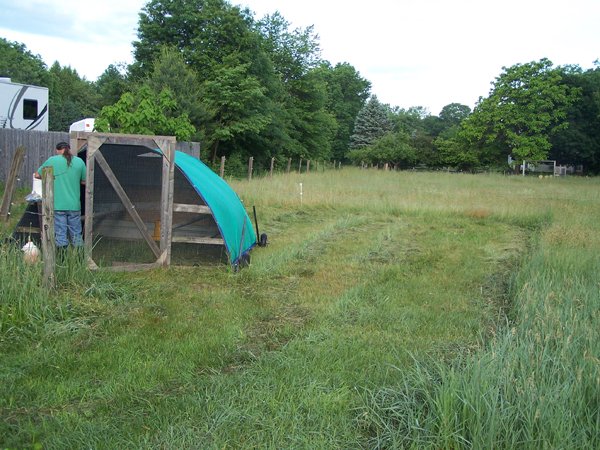 David setting up Hoophouse crop June 2018.jpg