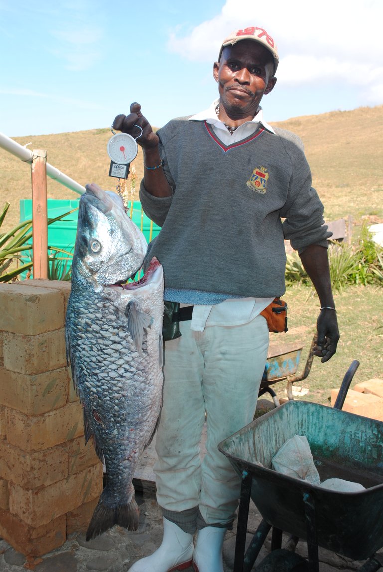 local fisherman selling catch of the day.JPG