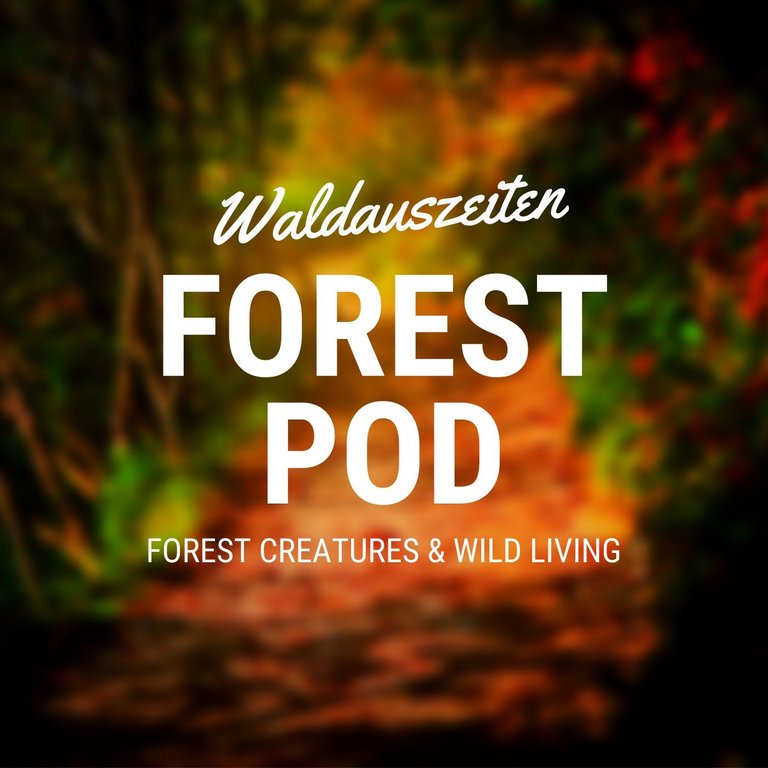 Podcast_Cover_Forestpod.jpg