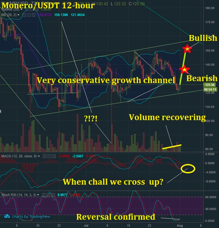 Aug 1 XMR T&A.jpg