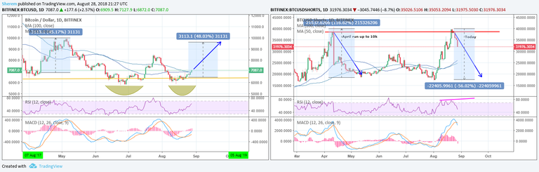 btcshorts vs price.png