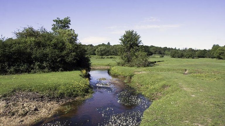 countryside-902089__480.jpg