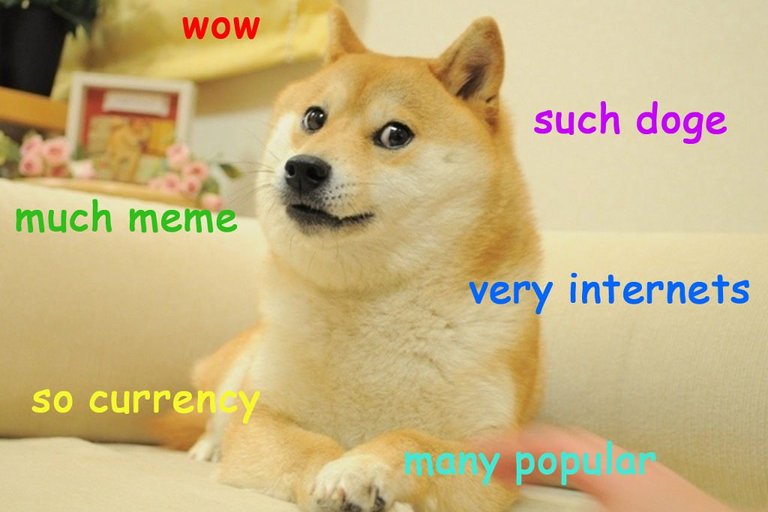 doge1.jpg