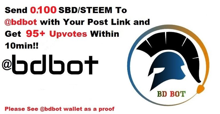 bdbot - Copy (2).jpg