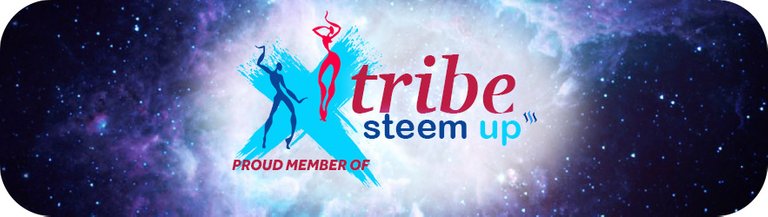 tribe-steemup-member-banner.jpg