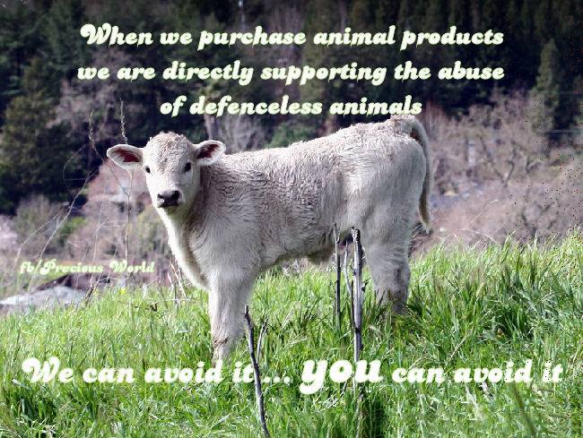 When we purchase animal.jpg