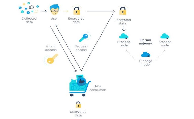 Datum2 Ecosystem.JPG