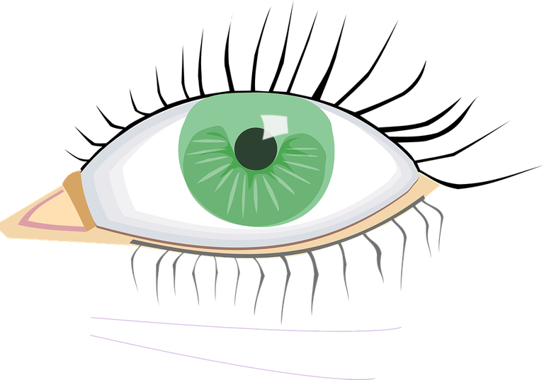 eye-34140_960_720.png