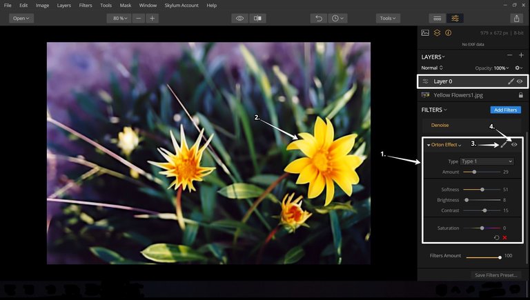 Photography-Tutorial-4.jpg