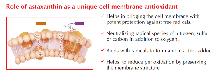 Astaxanthin9.png